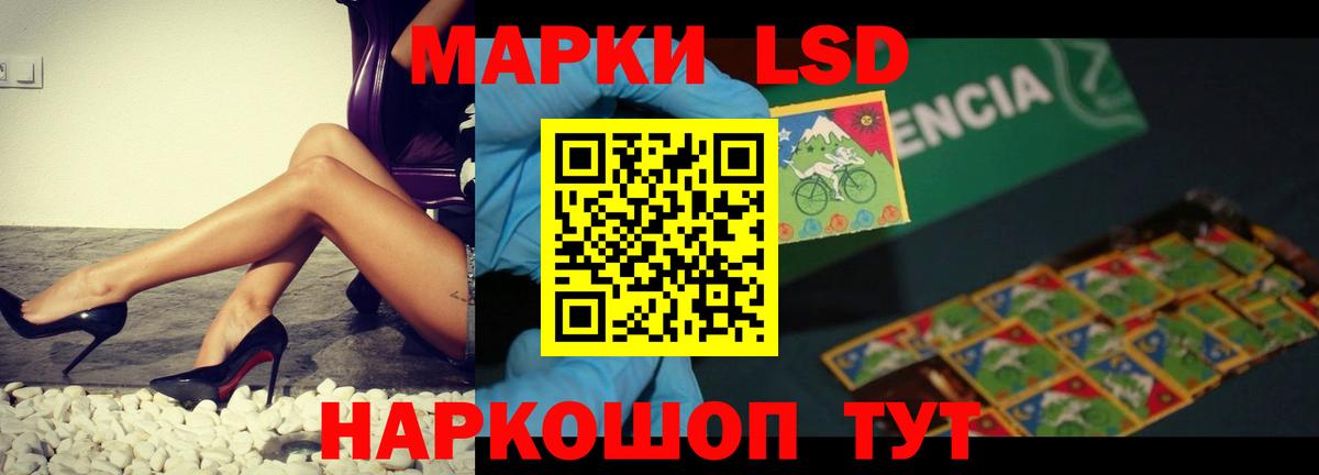 Бердск  Марихуана  Конопля  ГАШИШ  Вход с VPN  Меф МЯУ МЯУ кристаллы 